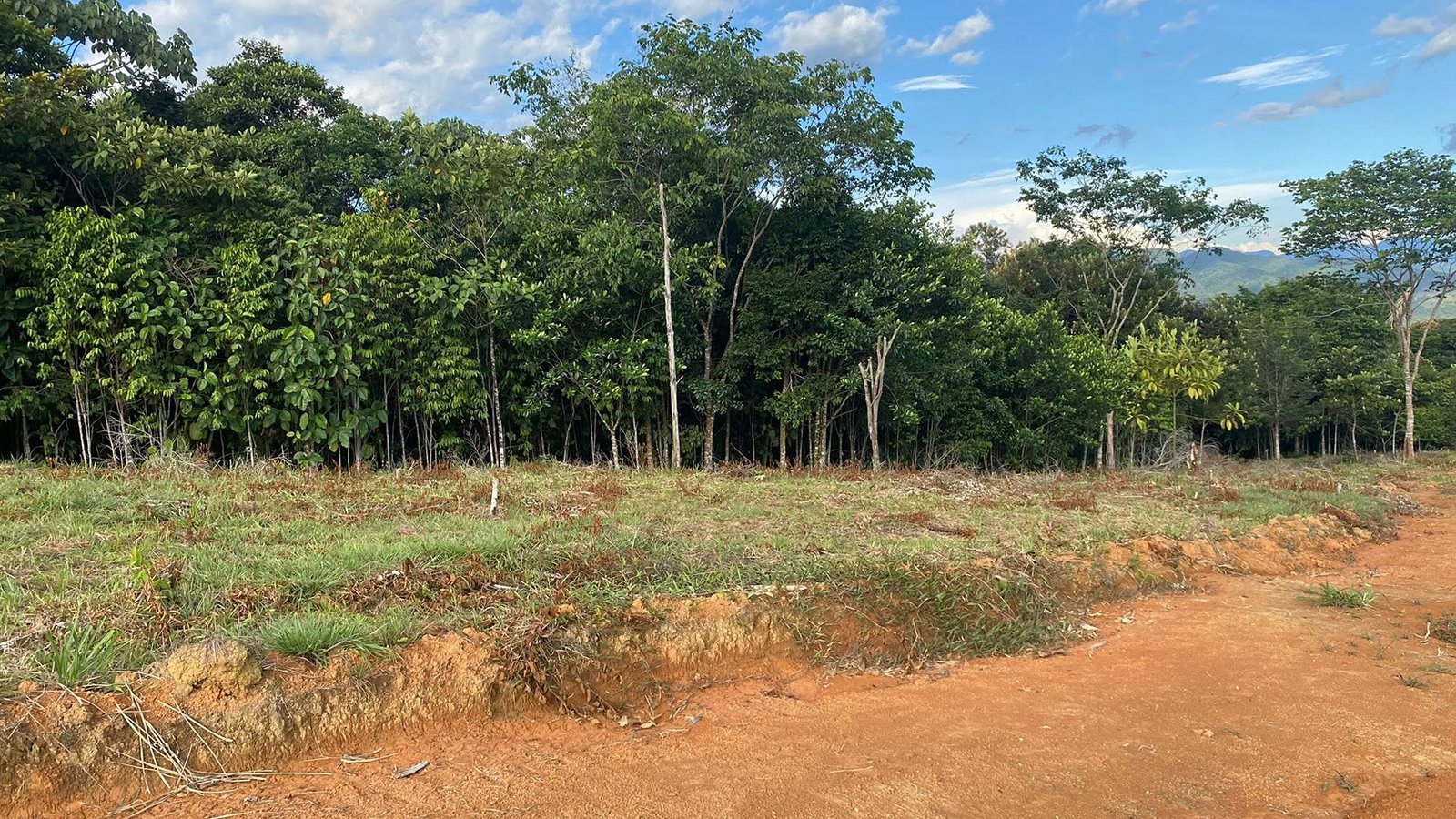 Galería 2 — La Perla del Edén