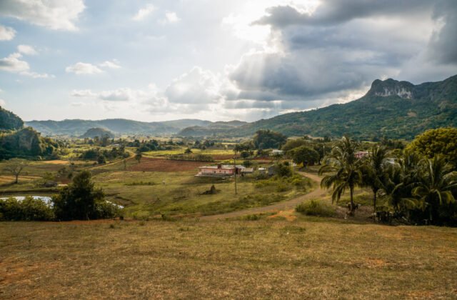 Lotes Económicos César