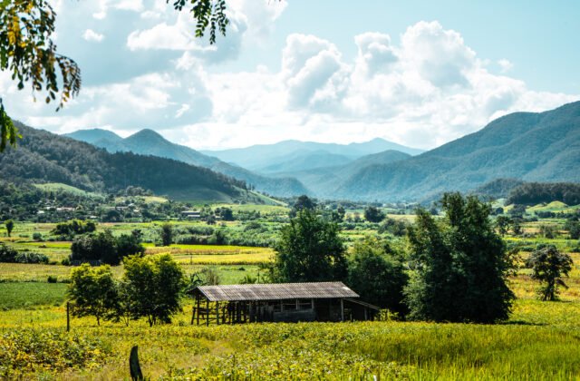 Finca Paipa